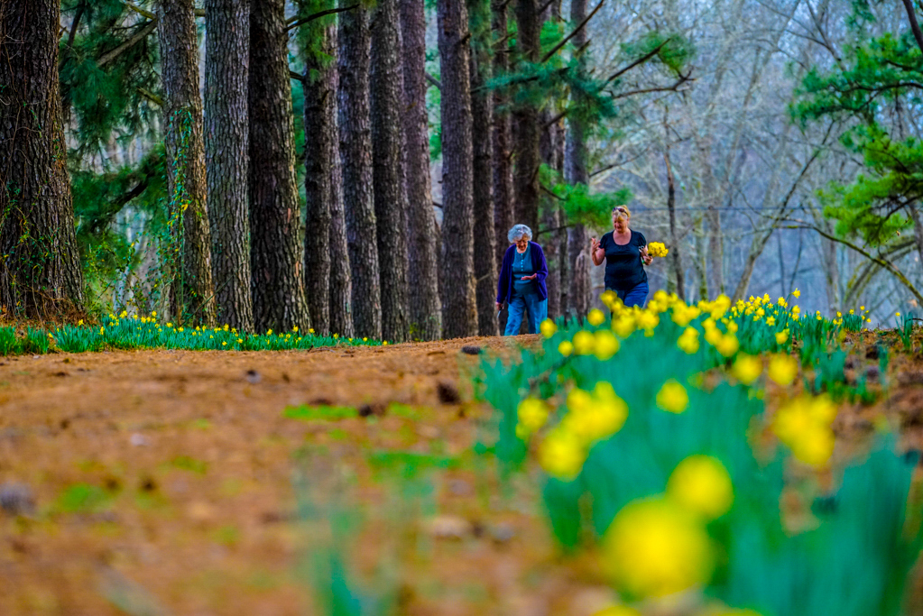  two women walk with a path of flowers 